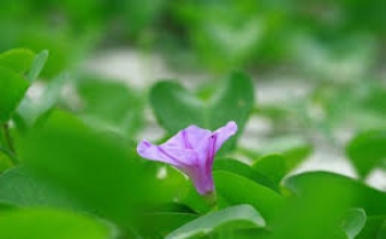 Biết đứng dậy sau vấp ngã 